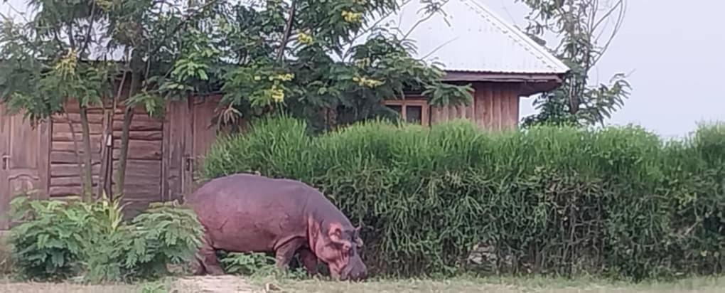 Tembo Safari Lodge Katunguru Εξωτερικό φωτογραφία