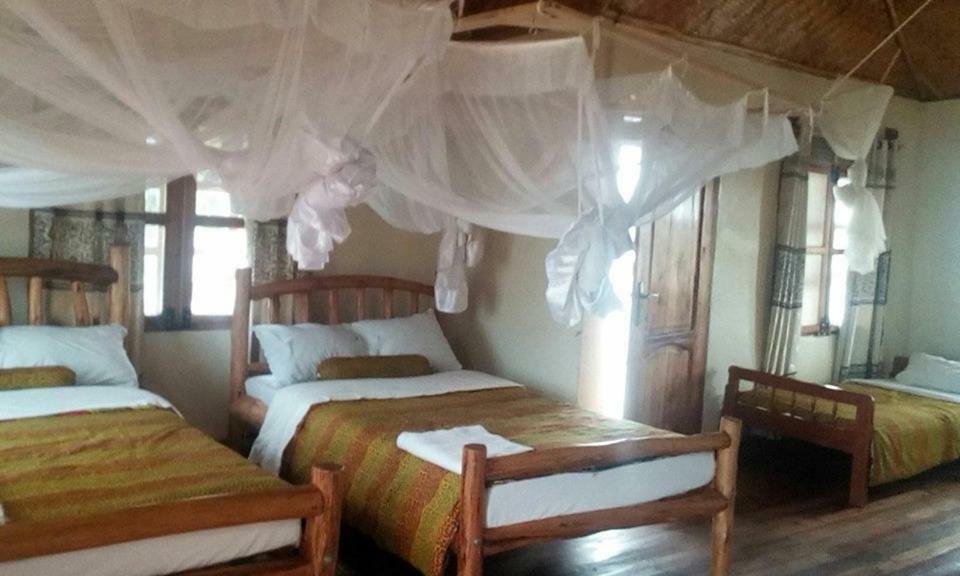 Tembo Safari Lodge Katunguru Εξωτερικό φωτογραφία