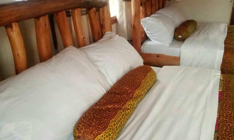 Tembo Safari Lodge Katunguru Εξωτερικό φωτογραφία